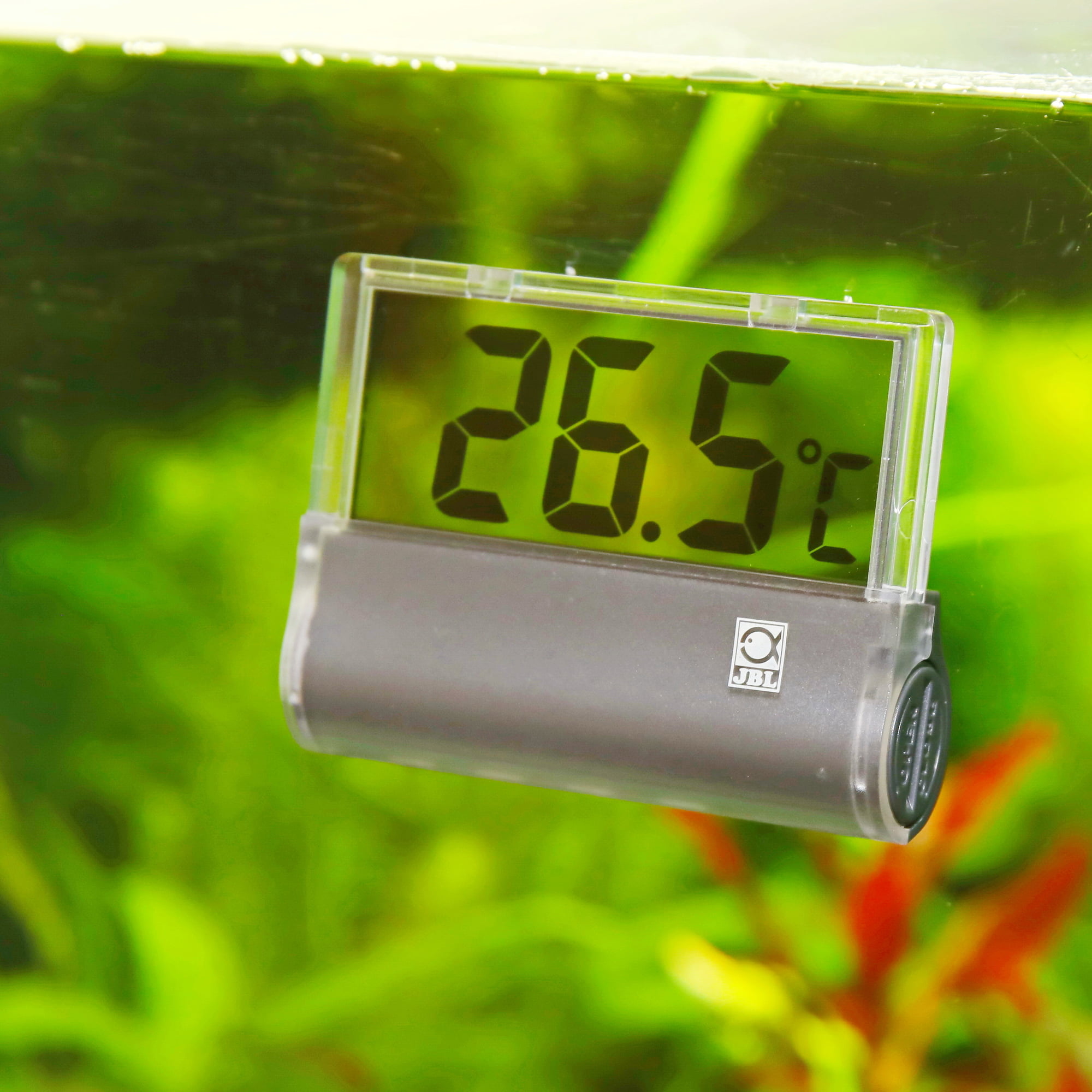termometr akwariowy